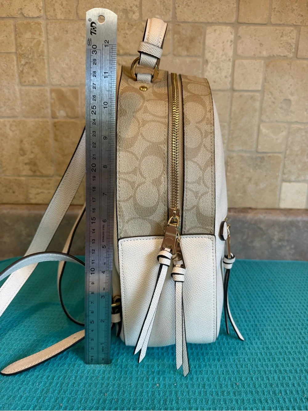 Coach stylish mini