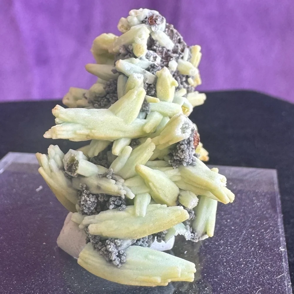 Plumbogumite New South Wales Australia