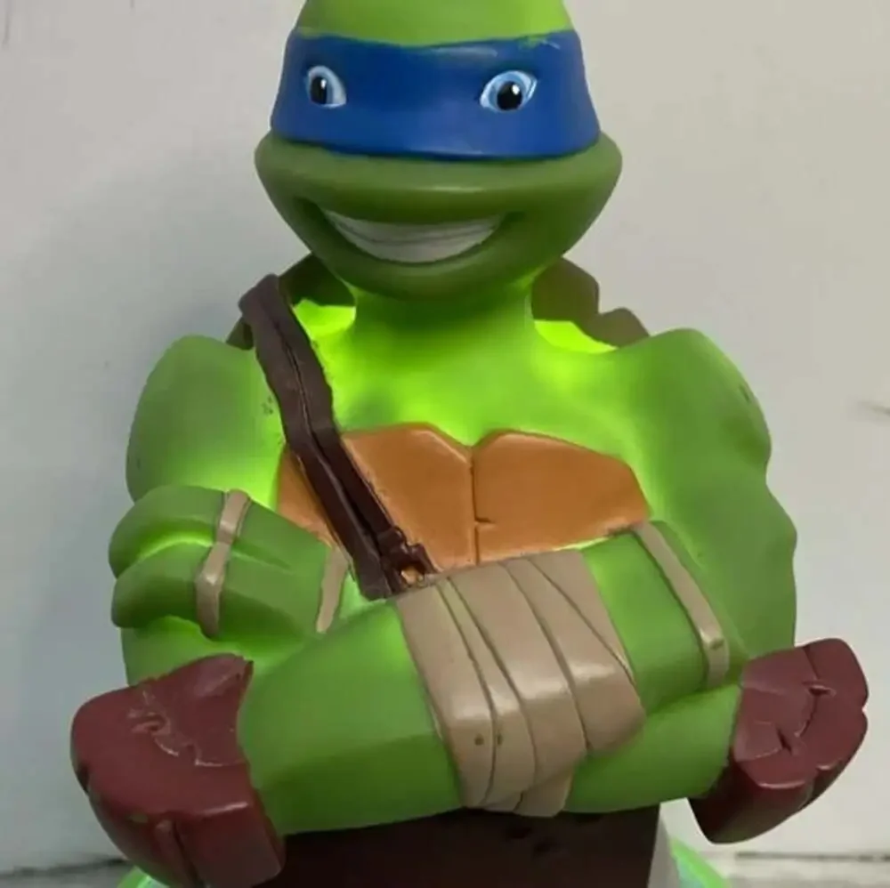 N/A teenage mutant