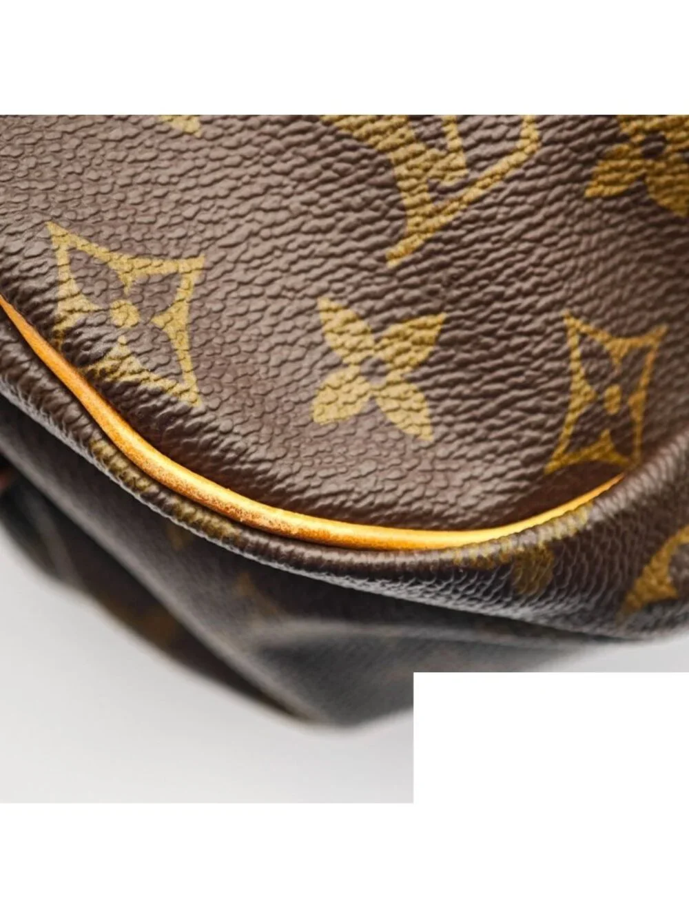 Louis Vuitton brand louis