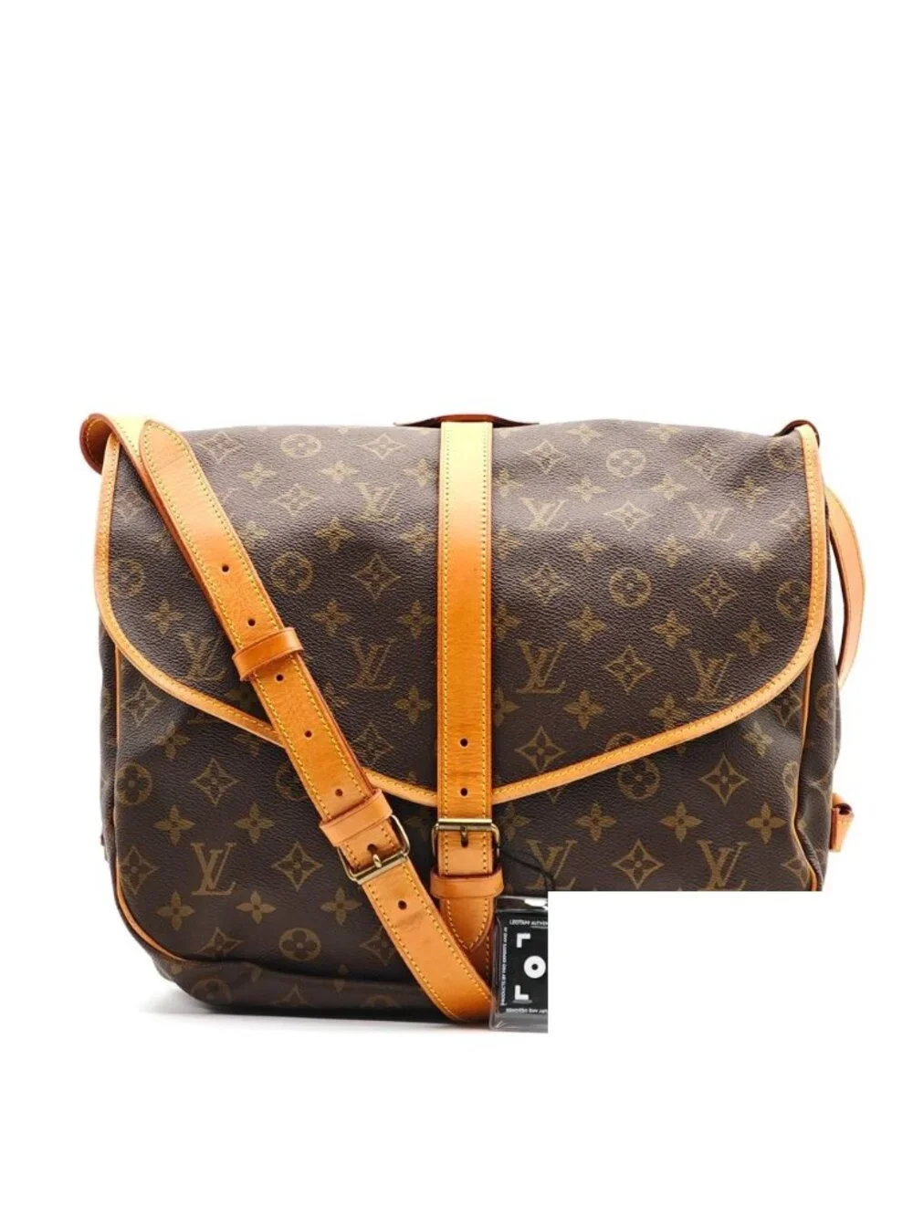 Louis Vuitton brand louis