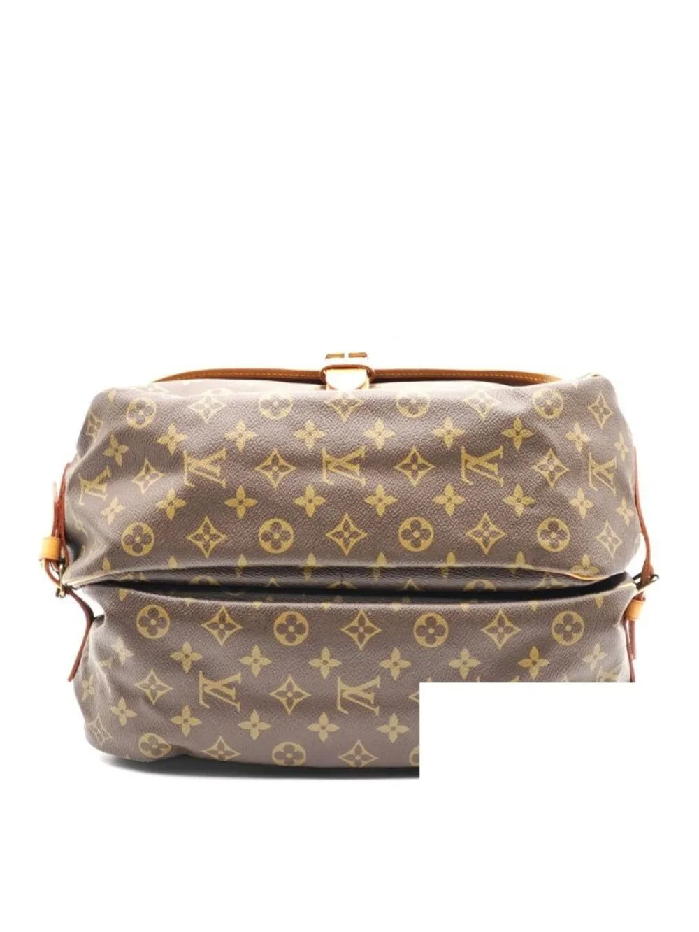 Louis Vuitton brand louis