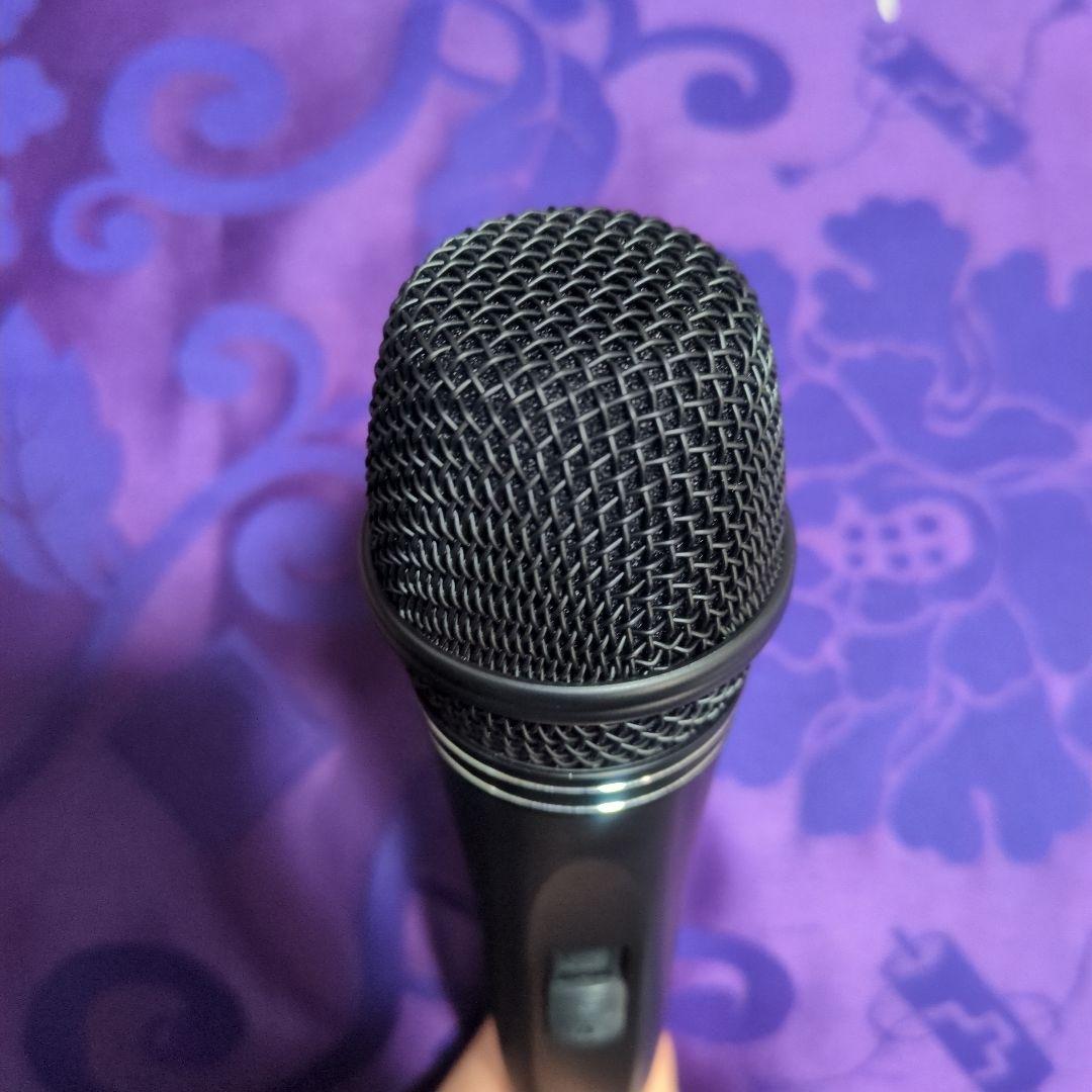 karaoke microphone