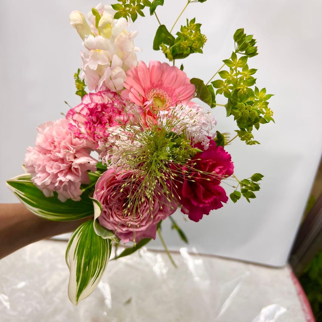 cut flowers