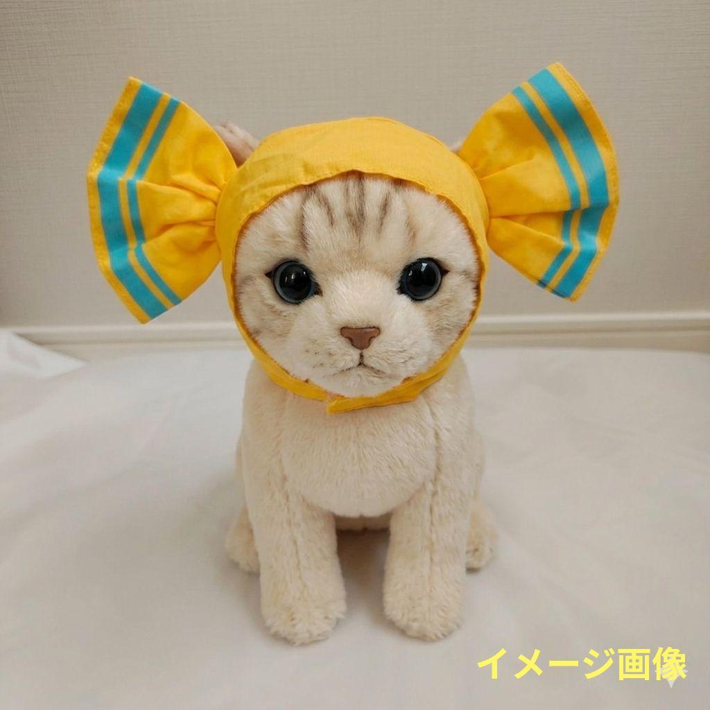 Cat and Dog Headwear: Candy Hat