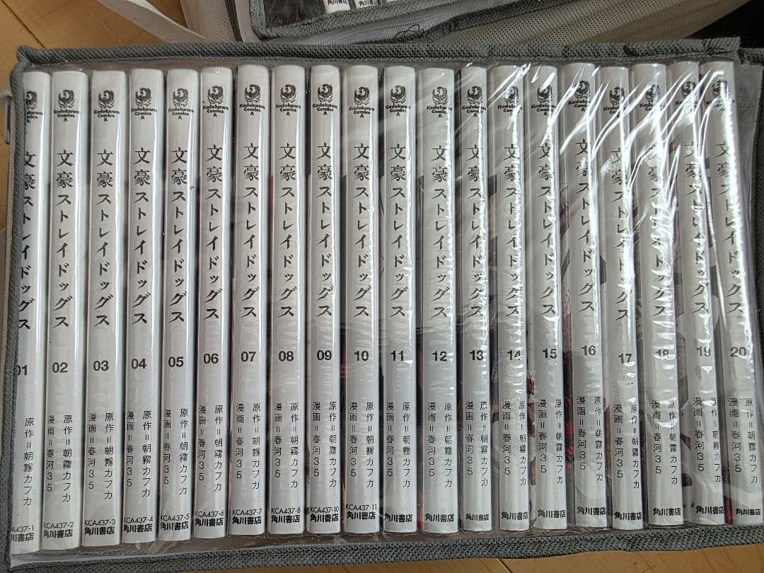 Bungo Stray Dogs Complete Set Volumes 1-24 + Related Novels