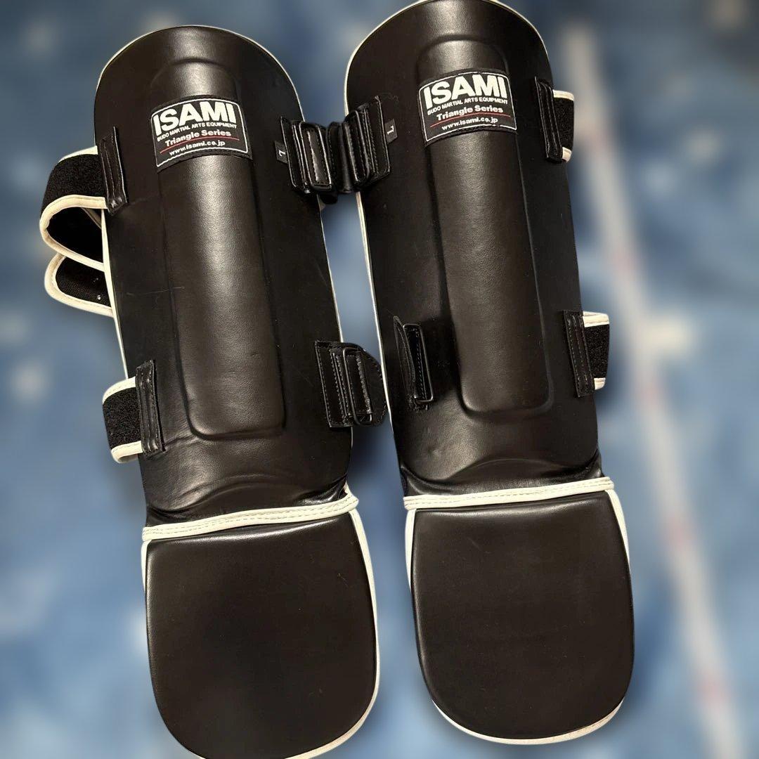 ISAMI Triangle Series Kick Protector