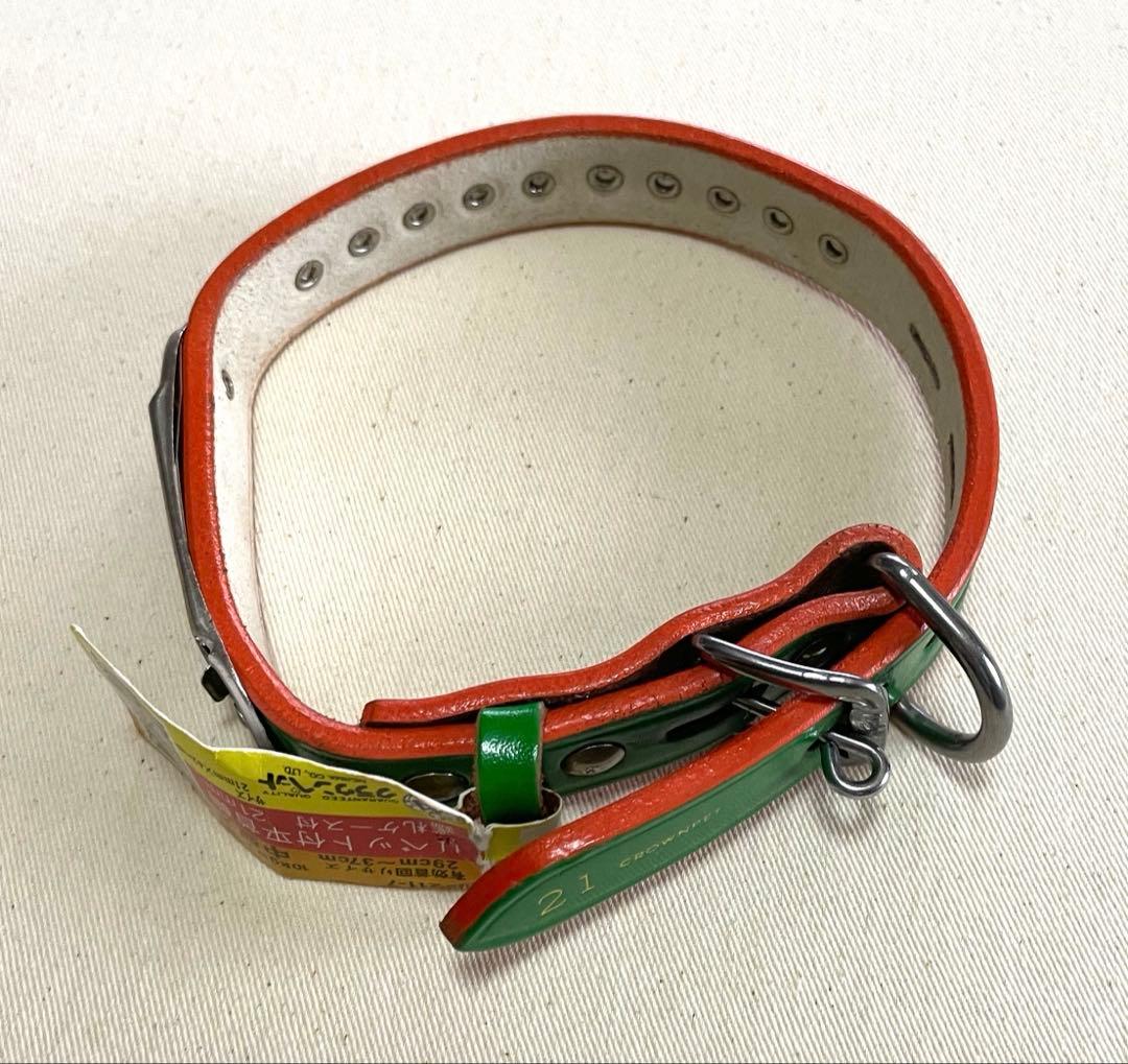 Collar Pet Medium Dog Green New Unused