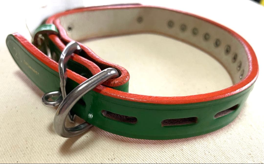 Collar Pet Medium Dog Green New Unused