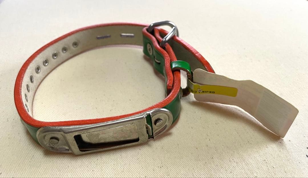 Collar Pet Medium Dog Green New Unused
