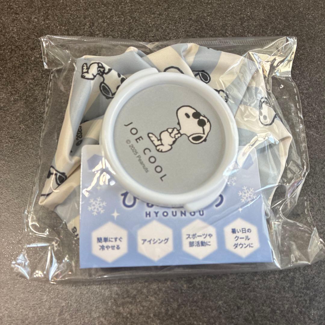 [For Purin-sama] Snoopy Ice Bag, Round, Ice Pack, Set of 2