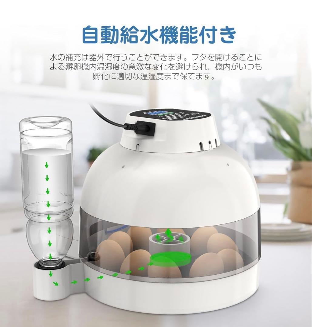 Incubator Automatic Incubator Automatic Constant Temperature Machine Bird-Specific Incubator Automatic Temperature Control