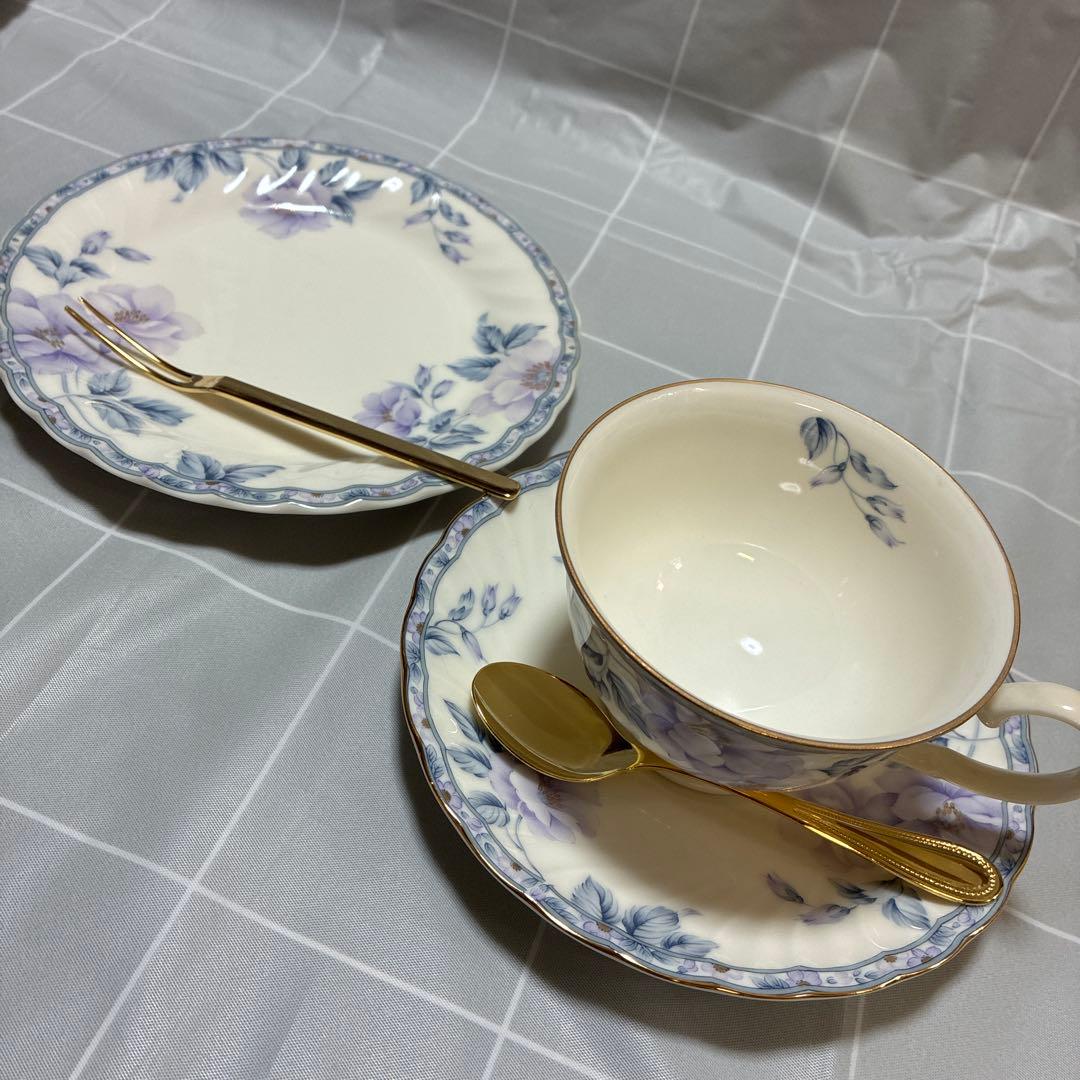 Brand New, Unused!! HOYA Tea Cup, Saucer, Plate, Spoon & Fork Set