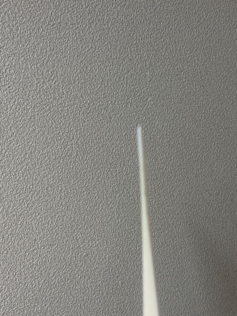 ivory shamisen
