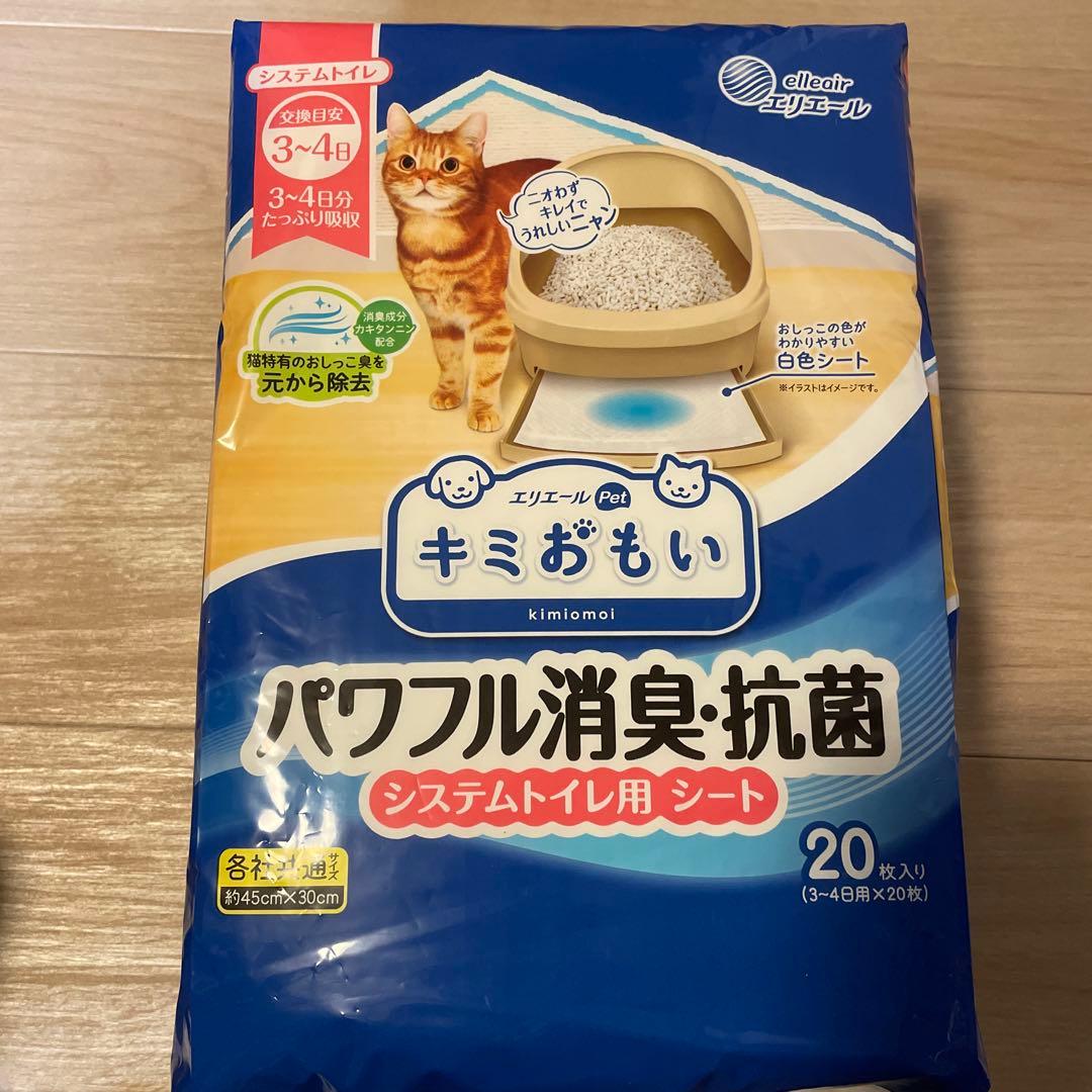 eluise<br>kimi omoi<br>powerful