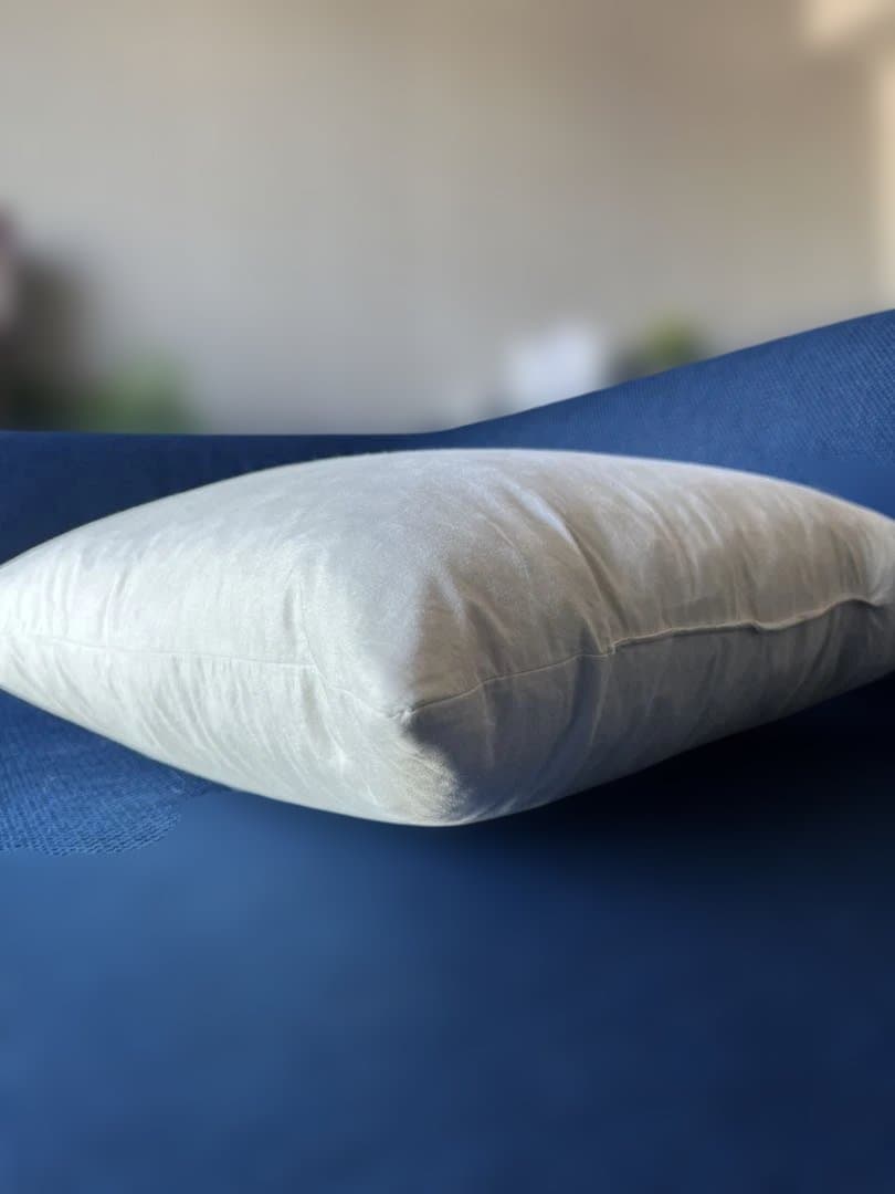 【Made in Japan】Cushion Insert 40x40, Filling 750g, Premium Small Feather