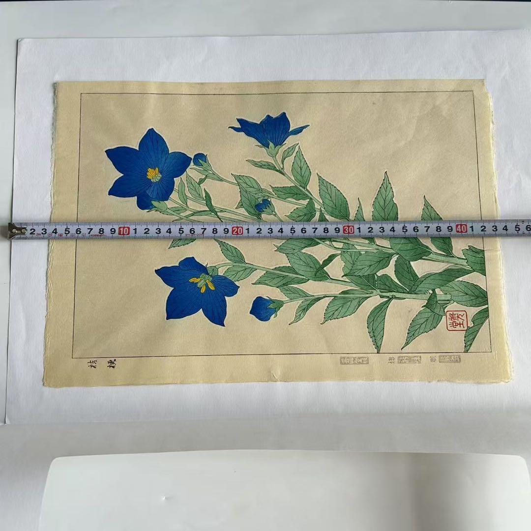 beautiful woodblock