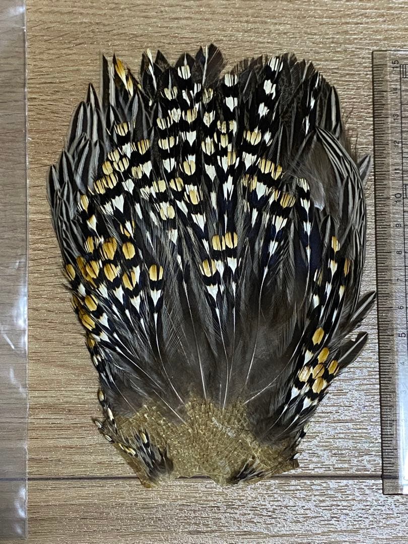Used Jungle Cock ③