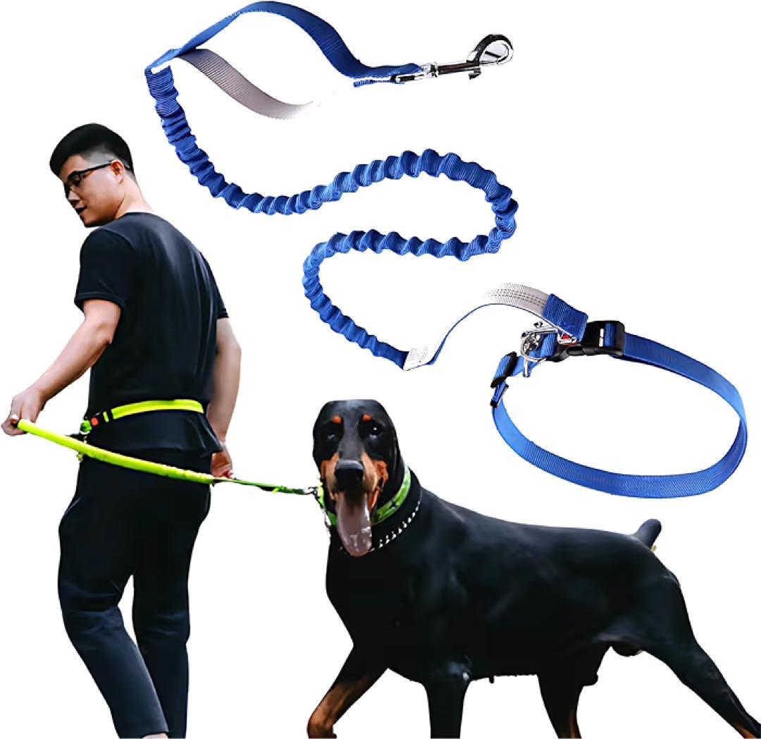 Dog Leash, Shoulder Leash, Hands-Free, Retractable, Small, Medium, Large Dogs, Blue