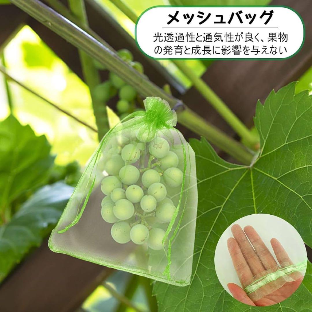 Fruit Insect Protection Bag, Protective Net, Insect Repellent, Fruit Mesh Bag, Pigeon Bird Repellent, Drawstring Bag