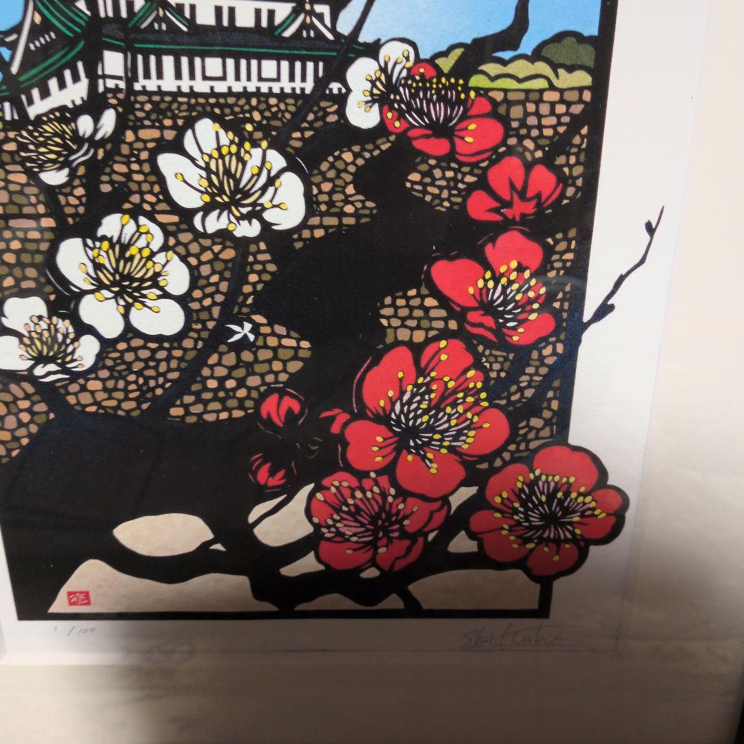 blossoms no