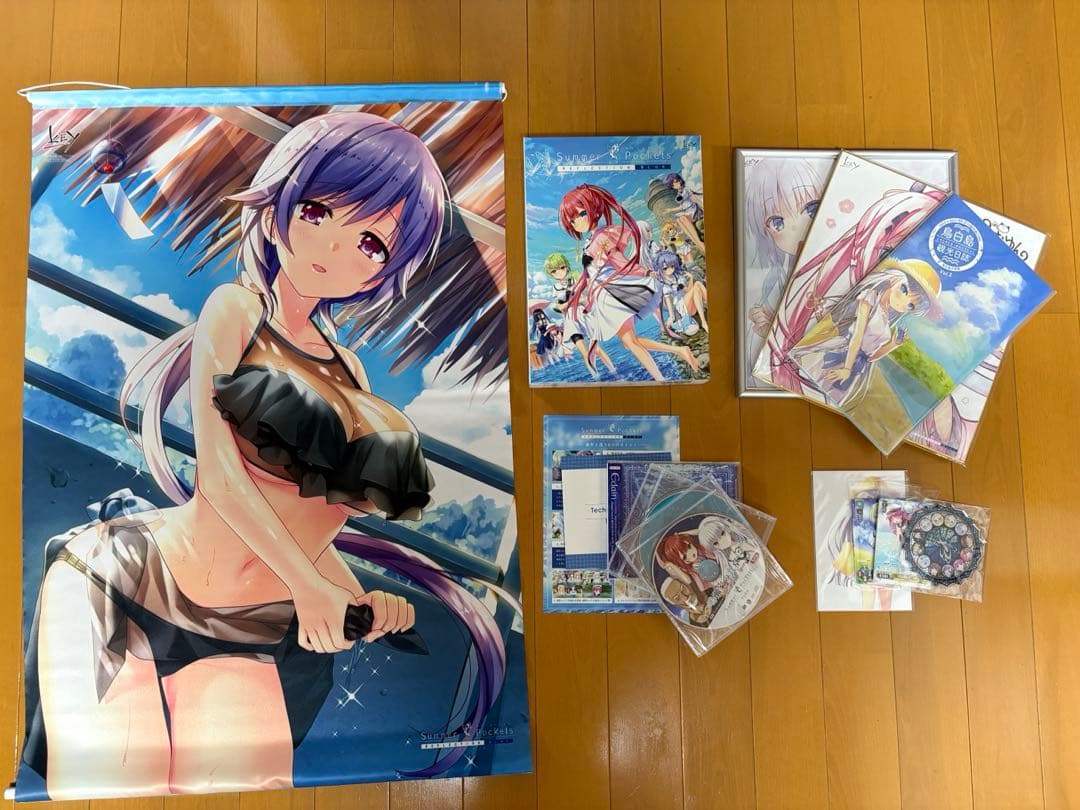 Summer Pockets REFLECTION BLUE PC Version Limited First Edition
