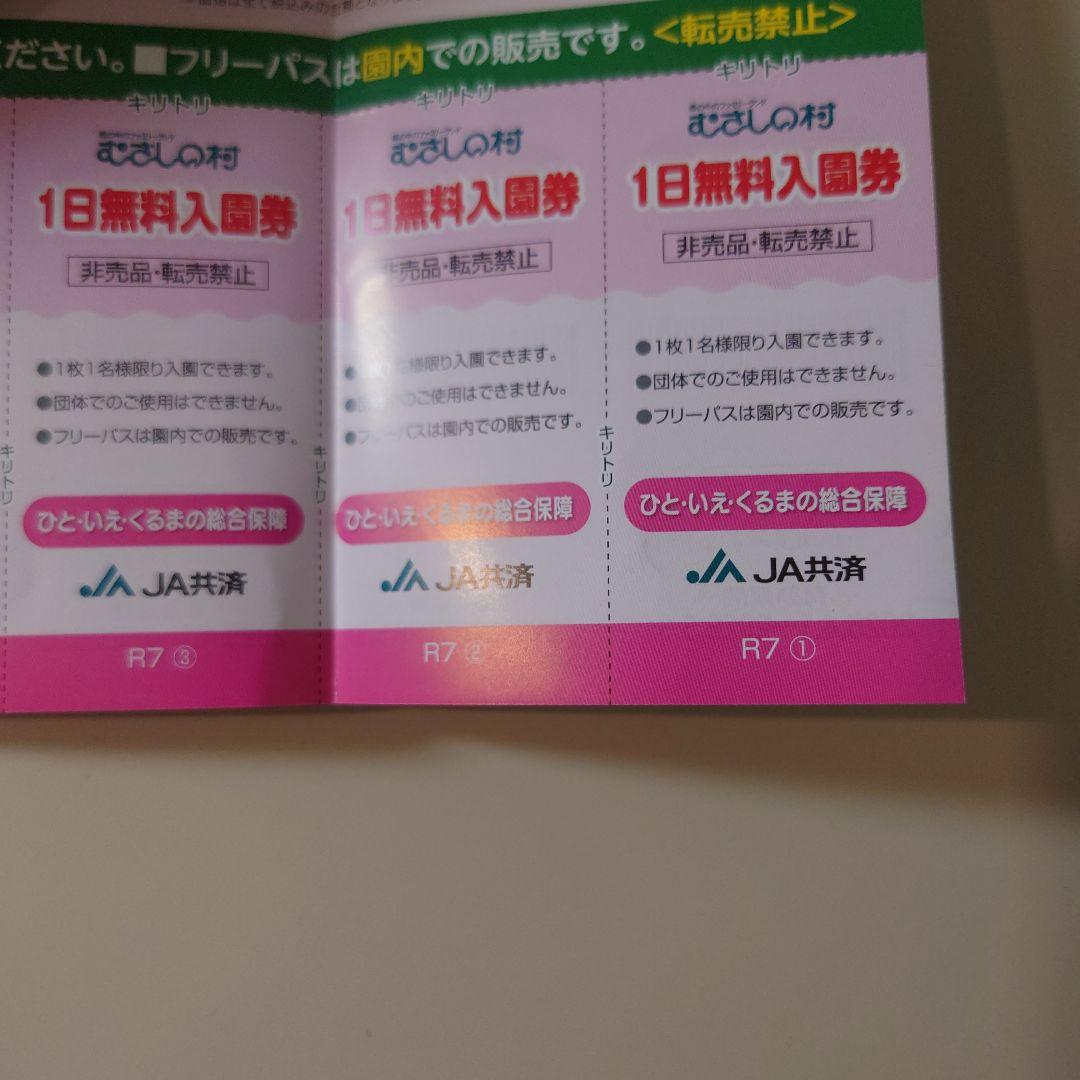 3 Musashinomura Amusement Park Admission Tickets