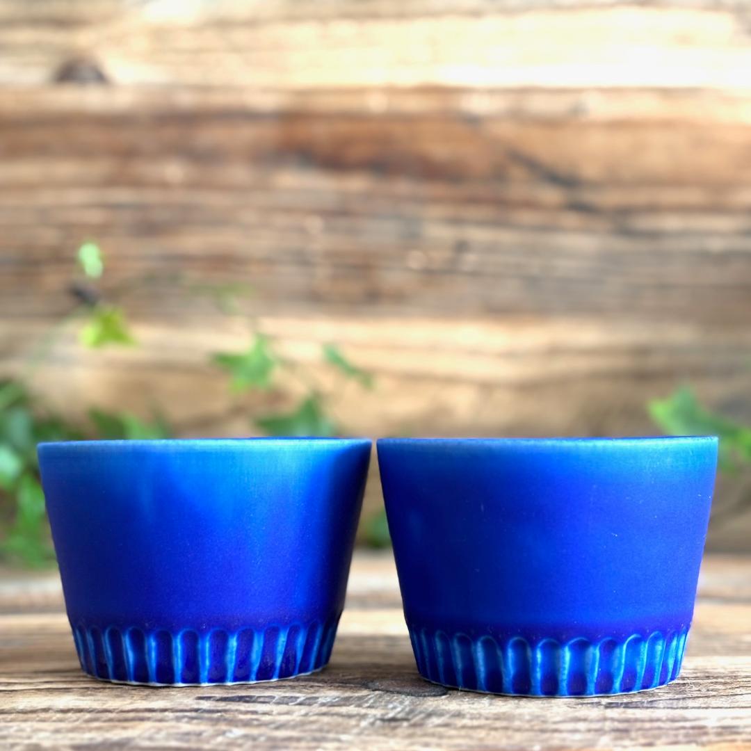 vibrant indigo