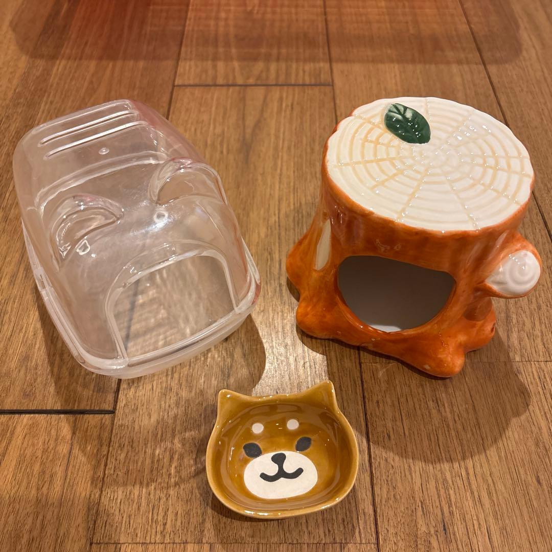 this hamster