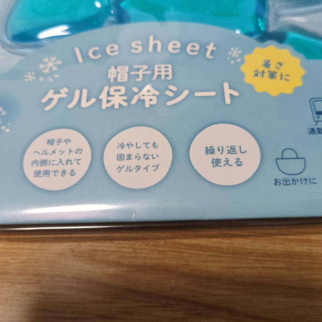 reusable ice