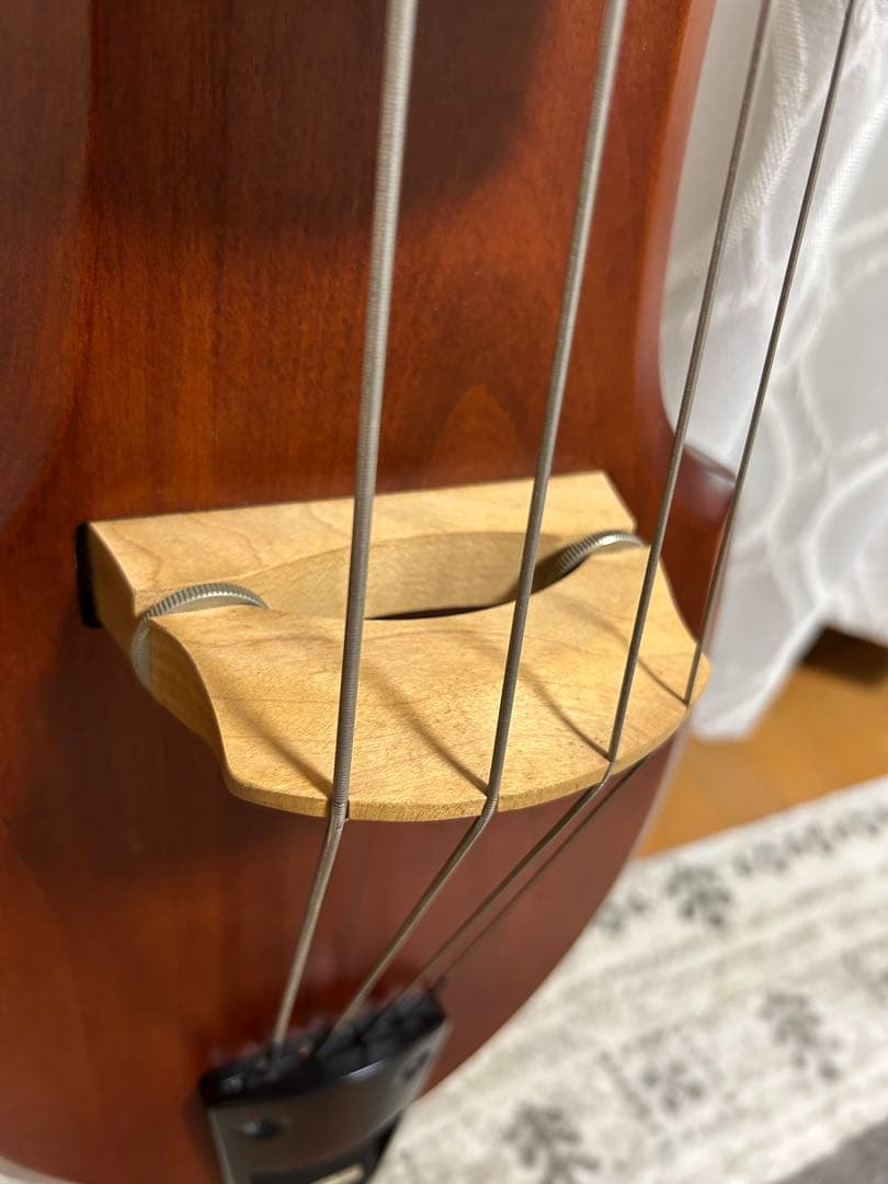 Aria Custom Shop SWB-03 Upright Bass Aria