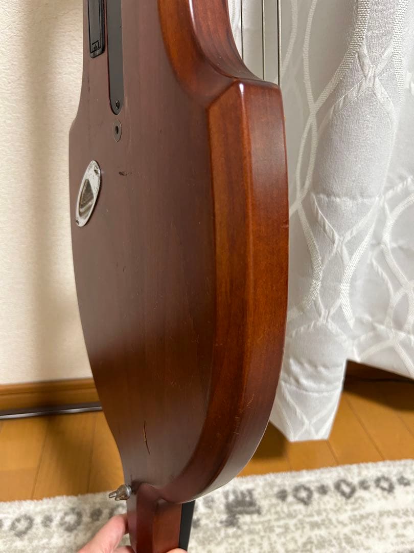 Aria Custom Shop SWB-03 Upright Bass Aria