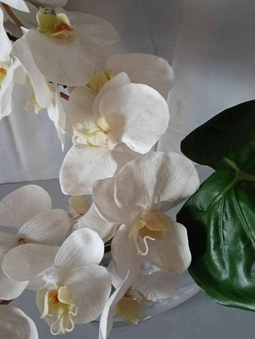 EMILO ROBBA Phalaenopsis Orchid Artificial Flower Glass Vase