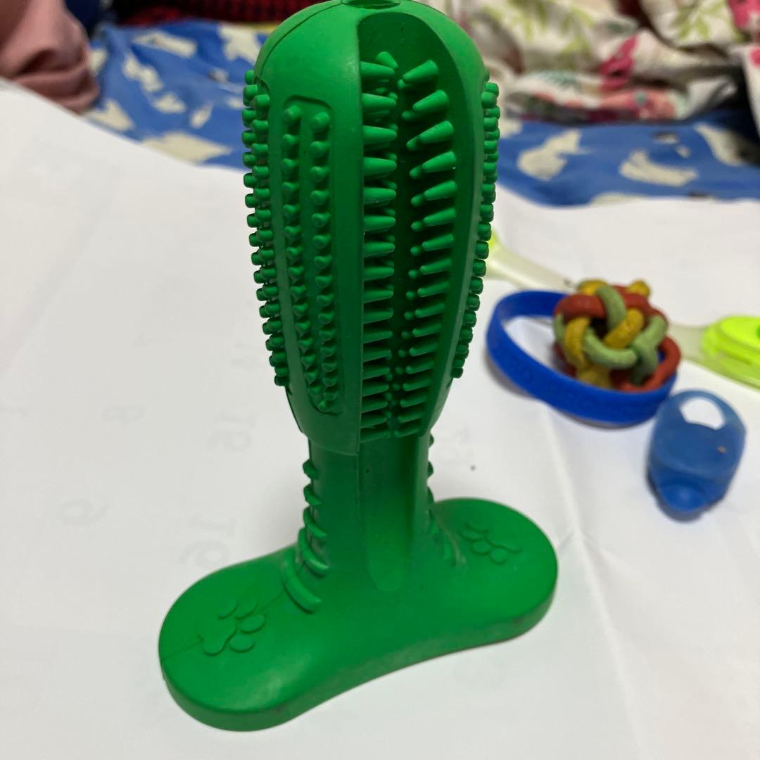 Dog Pet Supplies Toys & Accessories