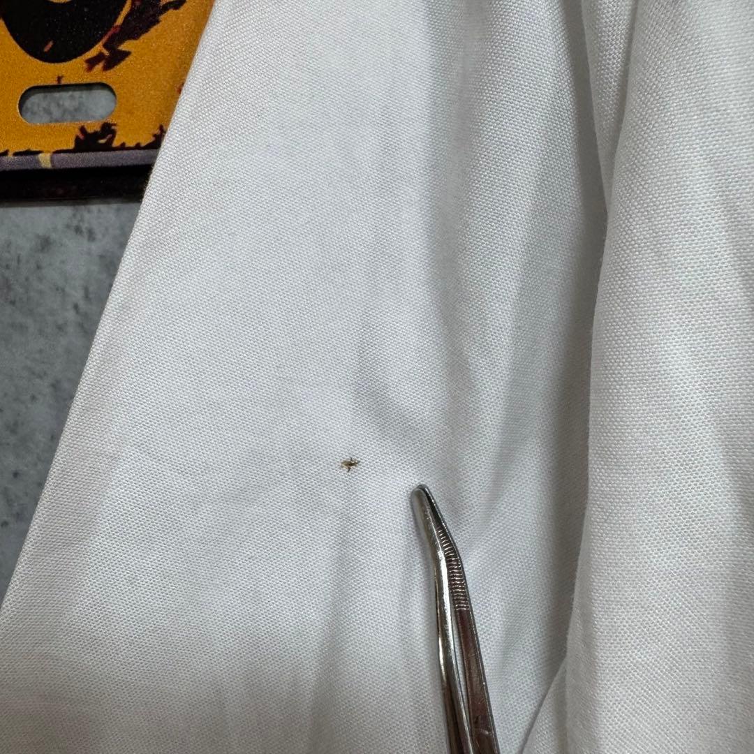 POLO RALPH LAUREN <div class=gnlqyh