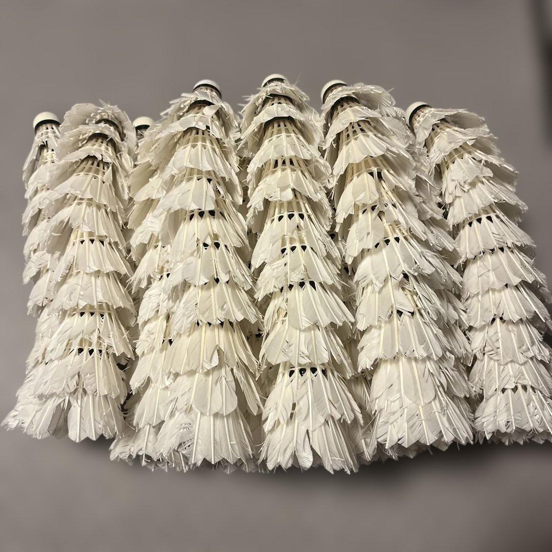 Badminton Shuttlecocks - 160 Balls