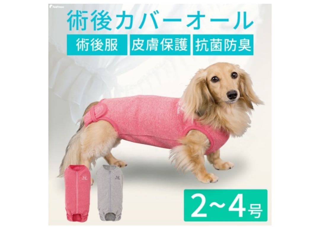 PomPreece Post-Surgery Suit ? Gray