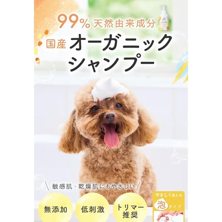 immediate purchase