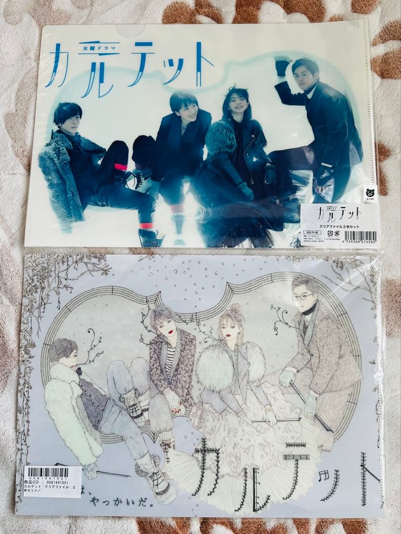 Quartet Clear File Set of 2