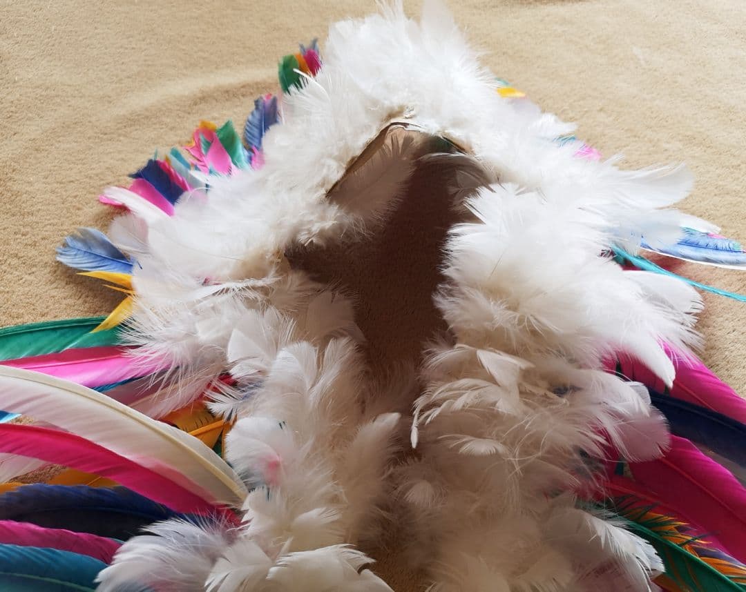【brazil】<br>this feather