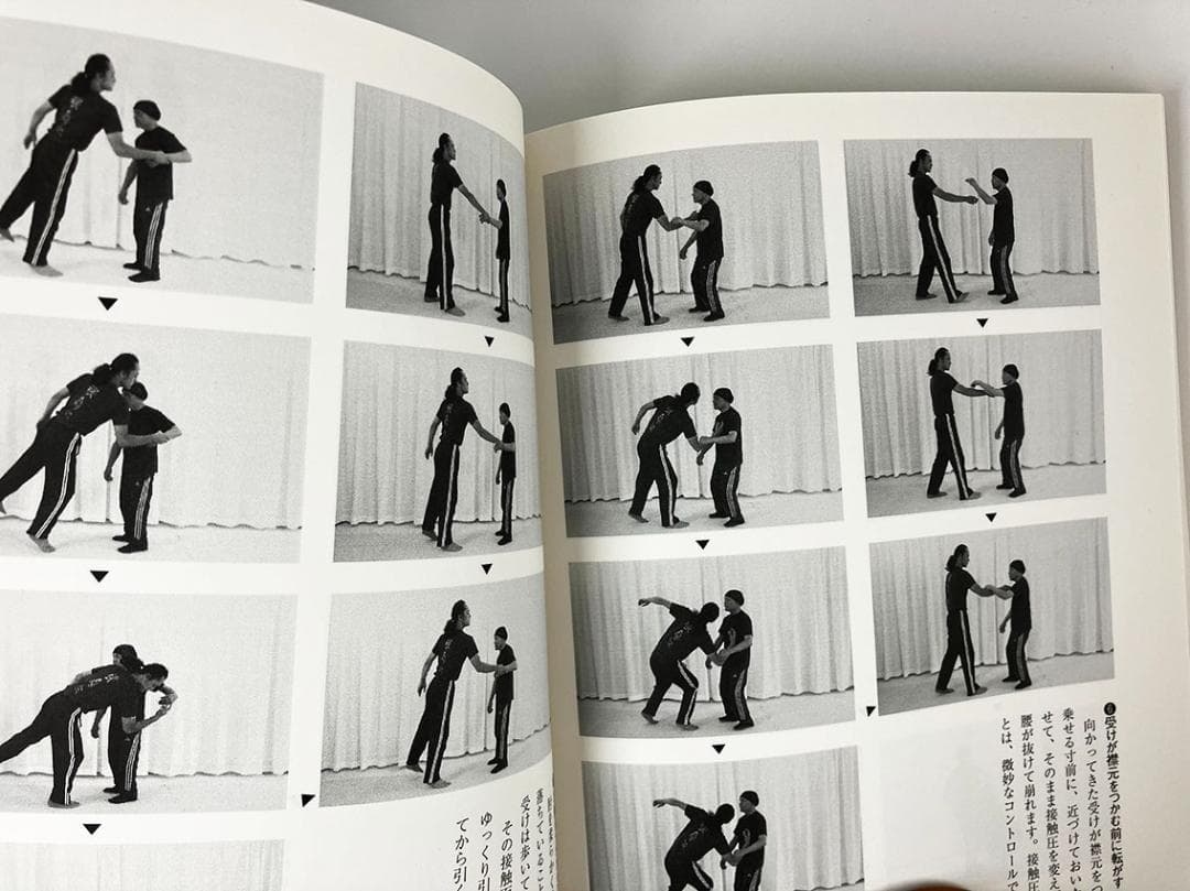 book detailing