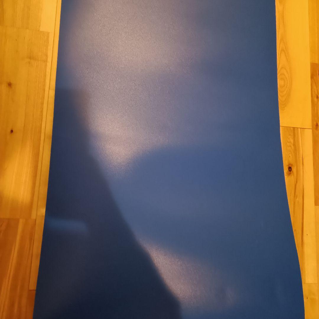 Balance One Slide Board EX 230cm Indoor Training Muscle Training