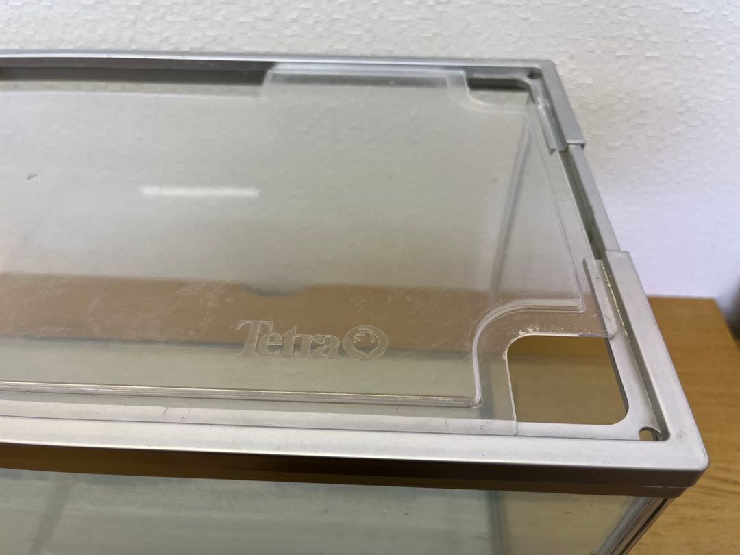 aquarium transparent