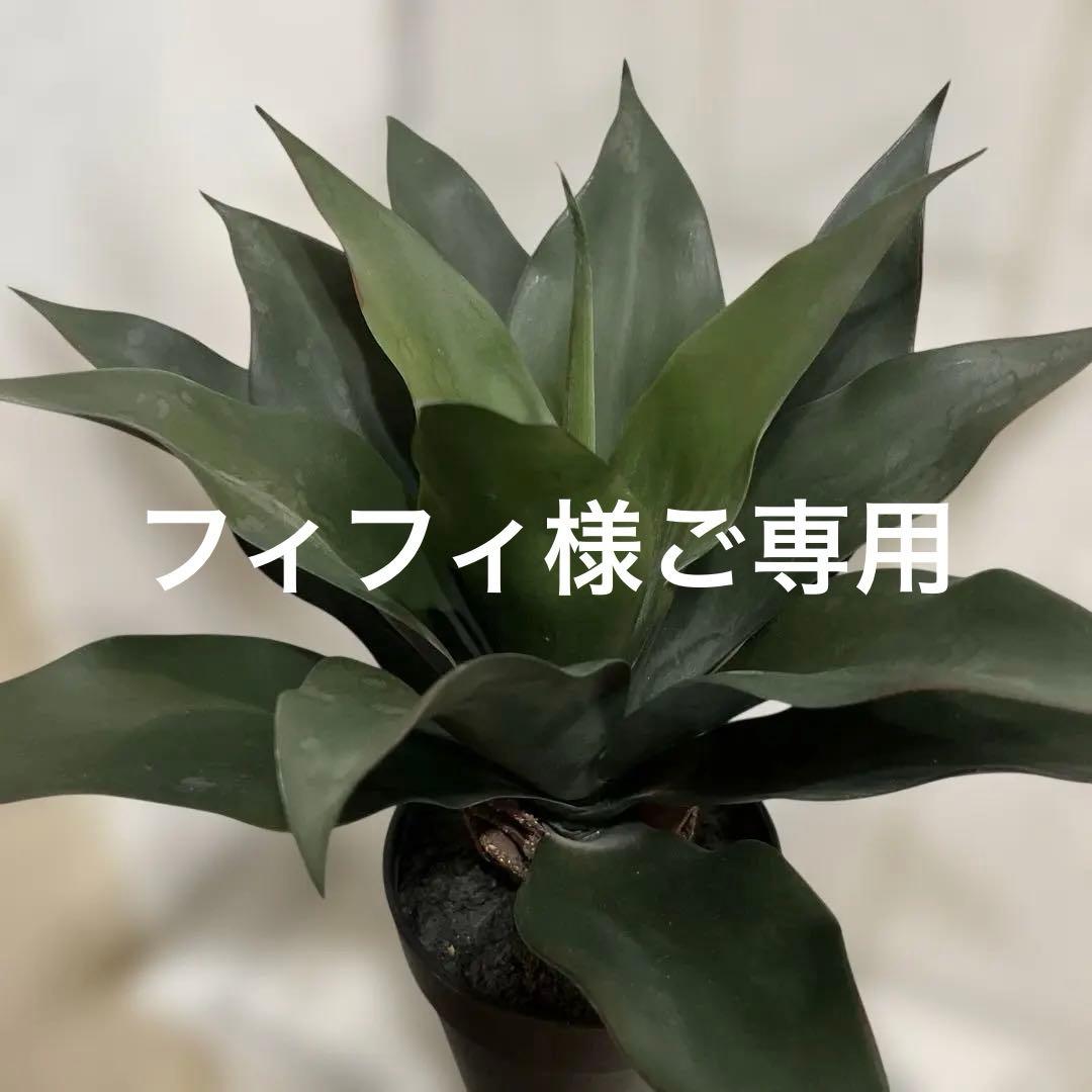 Artificial Agave Plant