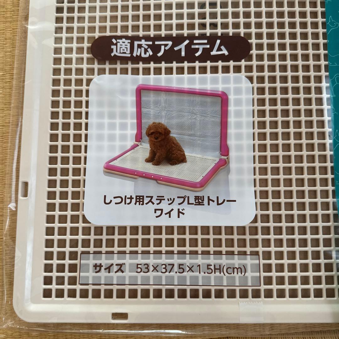 washable potty