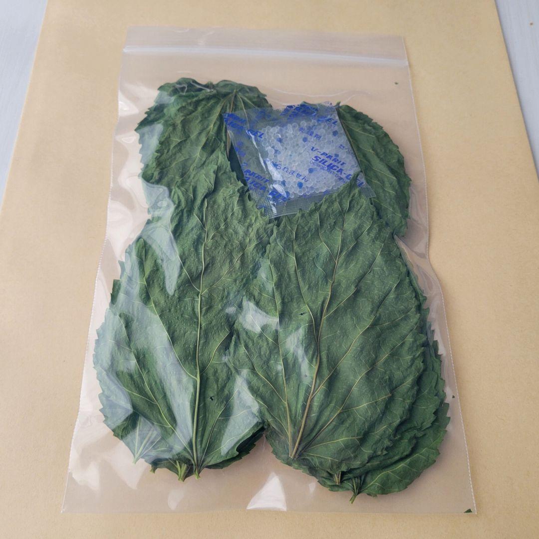 JUKE FAMILY Snacks: Dried Mulberry Leaves 8g for Small Animals, Rabbits, Chinchillas