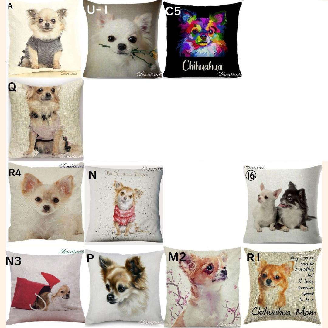chihuahua illustration