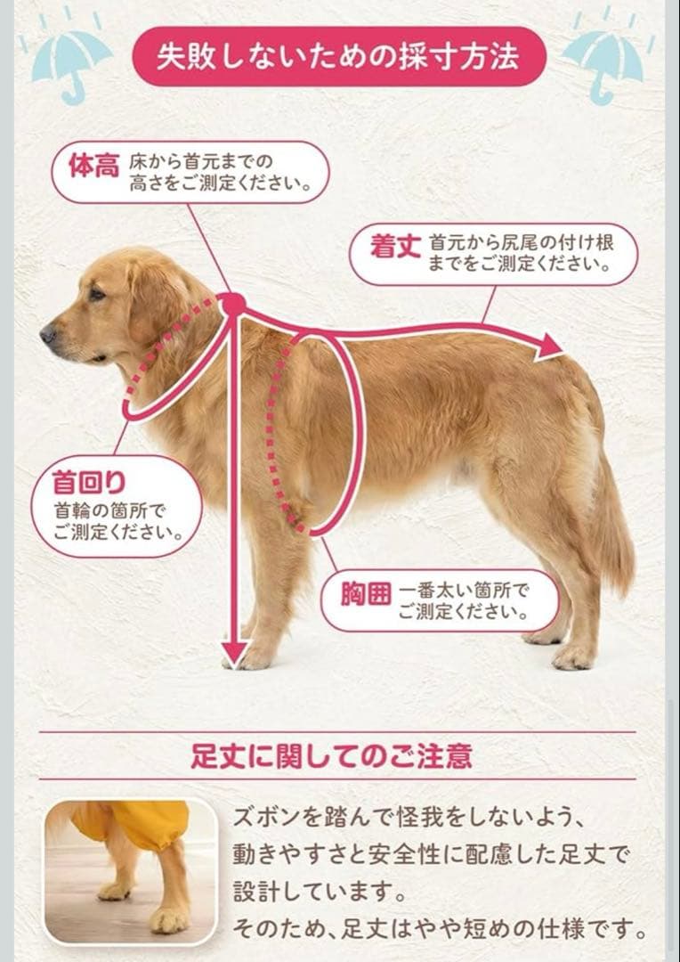 etlife dog