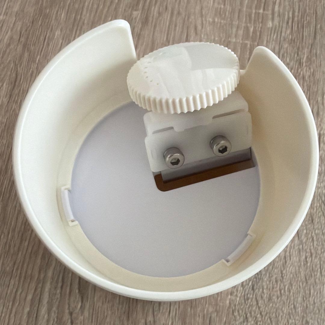 adult electric