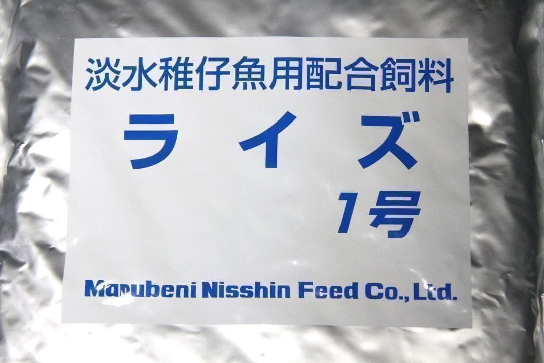 Medaka Fish Food ◇ Rise No. 1 (Fry/Micro-particle Powder) 50g ◇ Medaka Feed [c777